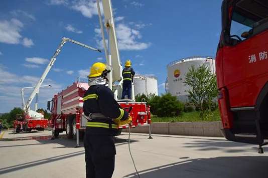 临夏回族自治州成都市消防救援支队网络安全防范子系统建设（一期）（第二次）招标